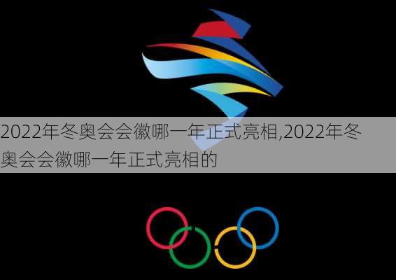 2022年冬奥会会徽哪一年正式亮相,2022年冬奥会会徽哪一年正式亮相的