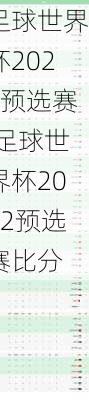 足球世界杯2022预选赛,足球世界杯2022预选赛比分