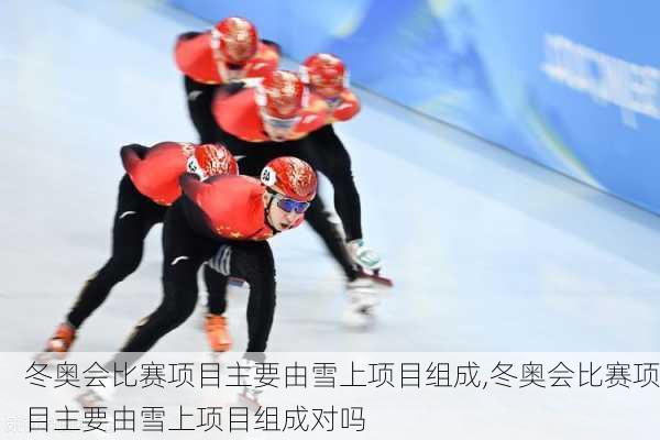 冬奥会比赛项目主要由雪上项目组成,冬奥会比赛项目主要由雪上项目组成对吗