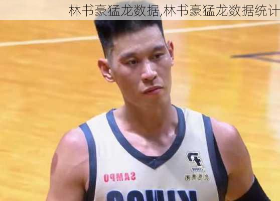 林书豪猛龙数据,林书豪猛龙数据统计