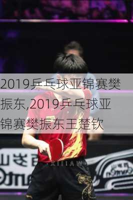 2019乒乓球亚锦赛樊振东,2019乒乓球亚锦赛樊振东王楚钦