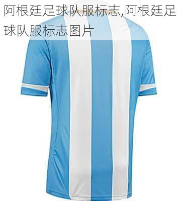 阿根廷足球队服标志,阿根廷足球队服标志图片