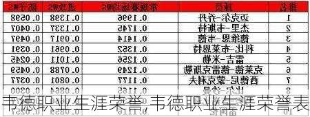 韦德职业生涯荣誉,韦德职业生涯荣誉表