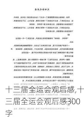 十三届全运会观后感,十三届全运会观后感300字