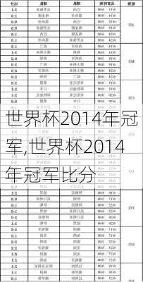 世界杯2014年冠军,世界杯2014年冠军比分