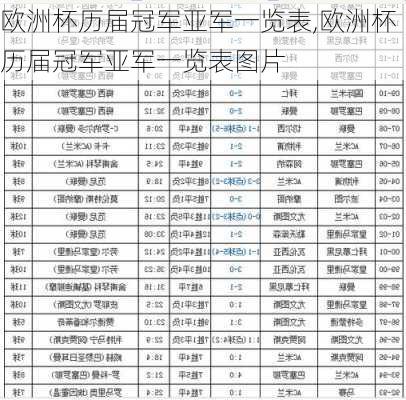 欧洲杯历届冠军亚军一览表,欧洲杯历届冠军亚军一览表图片