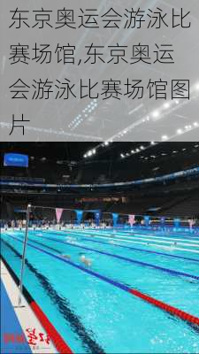 东京奥运会游泳比赛场馆,东京奥运会游泳比赛场馆图片