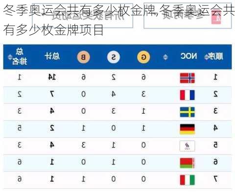 冬季奥运会共有多少枚金牌,冬季奥运会共有多少枚金牌项目