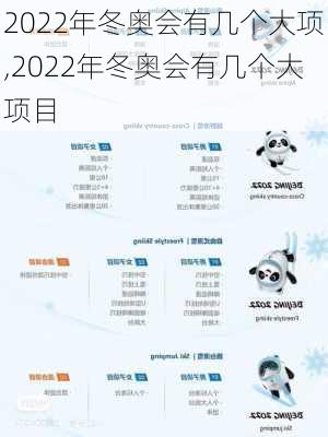 2022年冬奥会有几个大项,2022年冬奥会有几个大项目