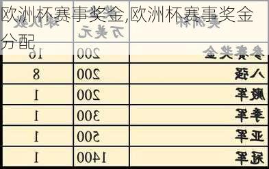 欧洲杯赛事奖金,欧洲杯赛事奖金分配