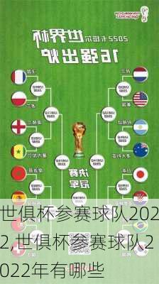 世俱杯参赛球队2022,世俱杯参赛球队2022年有哪些