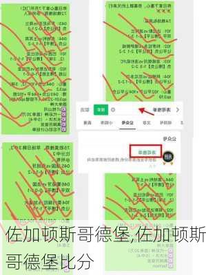 佐加顿斯哥德堡,佐加顿斯哥德堡比分