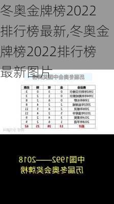 冬奥金牌榜2022排行榜最新,冬奥金牌榜2022排行榜最新图片