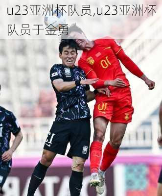 u23亚洲杯队员,u23亚洲杯队员于金勇