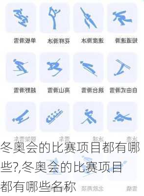 冬奥会的比赛项目都有哪些?,冬奥会的比赛项目都有哪些名称