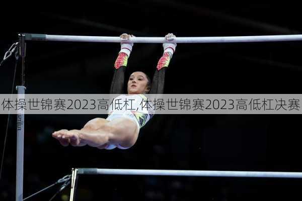 体操世锦赛2023高低杠,体操世锦赛2023高低杠决赛