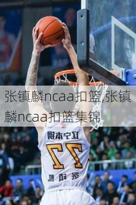 张镇麟ncaa扣篮,张镇麟ncaa扣篮集锦