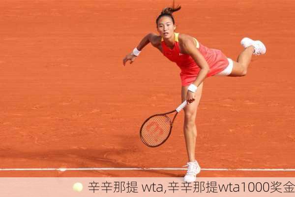 辛辛那提 wta,辛辛那提wta1000奖金