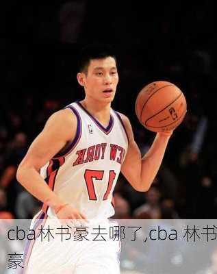 cba林书豪去哪了,cba 林书豪