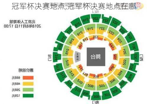 冠军杯决赛地点,冠军杯决赛地点在哪