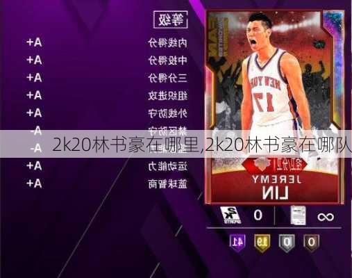 2k20林书豪在哪里,2k20林书豪在哪队