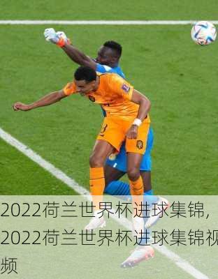 2022荷兰世界杯进球集锦,2022荷兰世界杯进球集锦视频