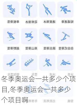 冬季奥运会一共多少个项目,冬季奥运会一共多少个项目啊