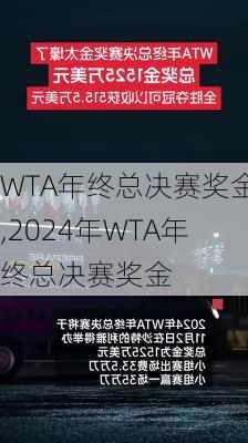 WTA年终总决赛奖金,2024年WTA年终总决赛奖金