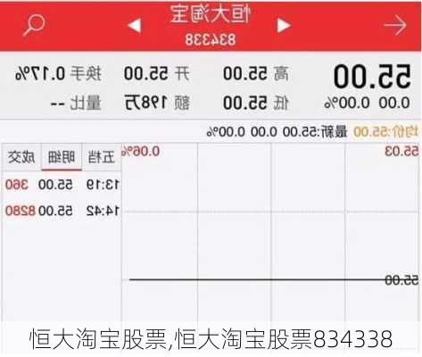 恒大淘宝股票,恒大淘宝股票834338