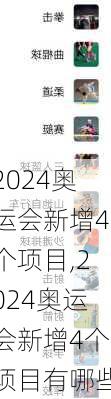 2024奥运会新增4个项目,2024奥运会新增4个项目有哪些