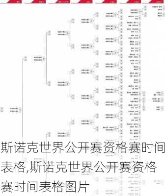 斯诺克世界公开赛资格赛时间表格,斯诺克世界公开赛资格赛时间表格图片