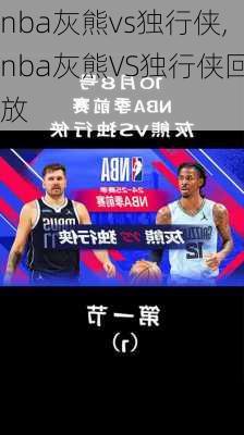 nba灰熊vs独行侠,nba灰熊VS独行侠回放