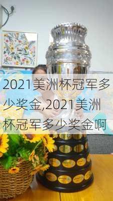 2021美洲杯冠军多少奖金,2021美洲杯冠军多少奖金啊